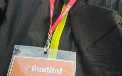 Anelli Impianti installazione manutenzione assistenza tecnica caldaie - Centro Assistenza Fondital